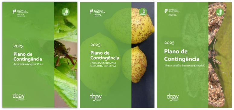 Planos de Contingência de Pragas prioritárias